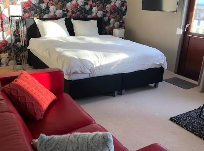 B&B De Grote Zeearend